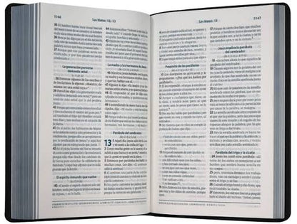Biblia Letra Grande, Color Gris, Rvc