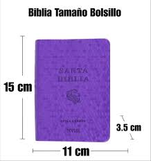 Biblia Panal, Color Violeta, NVI
