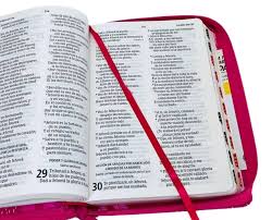 Biblia Letra Grande Rosa Para Niñas, Interactiva Símil Piel Con Cierre Indice, RVR1960