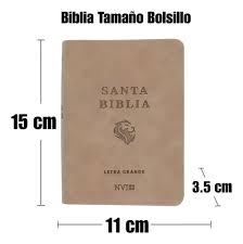Santa Biblia Letra Grande - NVI