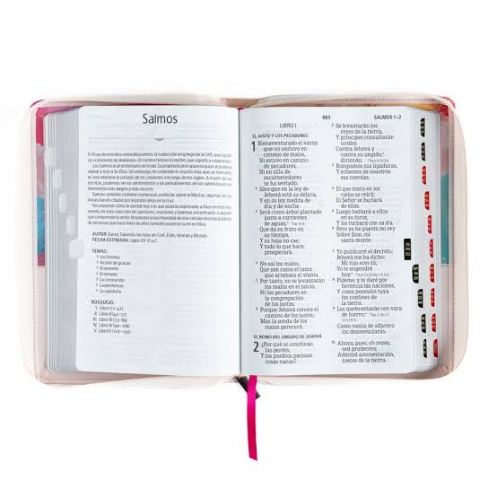 Biblia Manual L.Gigante, Rosa Multicolor, Cierre Indice, RVR1960