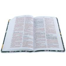 RVR 1960 Biblia letra grande tamaño manual edición especial, verde, símil piel