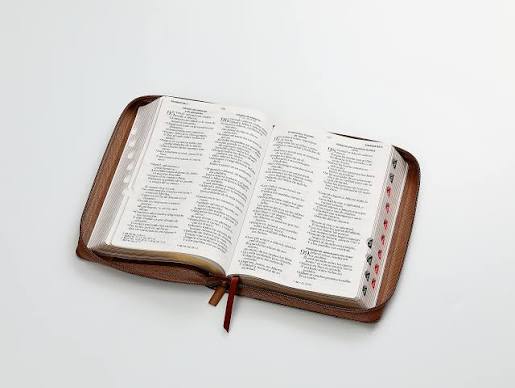 Biblia Letra Grande, Inspiración Águila Café, RVR 1965 Rvr065Lg Czti Pjr Inspiración Águila Café/Café/Café