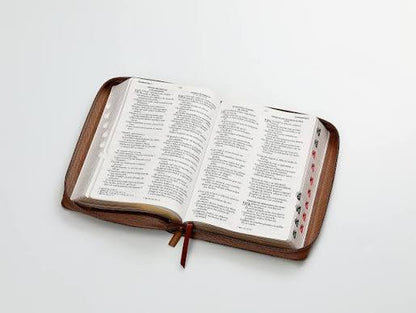 Biblia Letra Grande, Inspiración Águila Café, RVR 1965 Rvr065Lg Czti Pjr Inspiración Águila Café/Café/Café