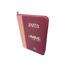 Biblia RVR 1960 - Rosa Fucsia Canto Plateado (Viva la Palabra)
