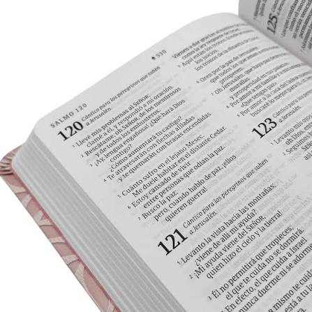 Biblia NTV Rosada Letra Grande, Valor Premium Filament