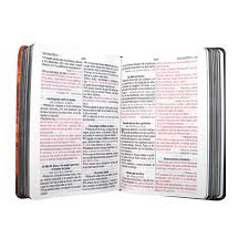 Biblia, Leon de Juda, Concordancia, Tapa Dura, Canto Pintado, Letra Grande, Rv1960