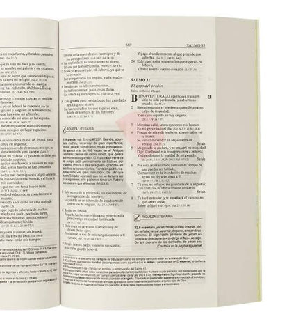 Biblia Plenitud, Tamaño Personal, Tapa Rústica, RVR60