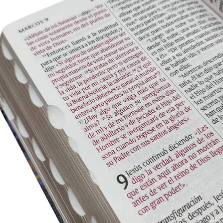 Biblia Manual Ntv, Letra Grande Con Filament, Color Azul Oscuro/ Hojas