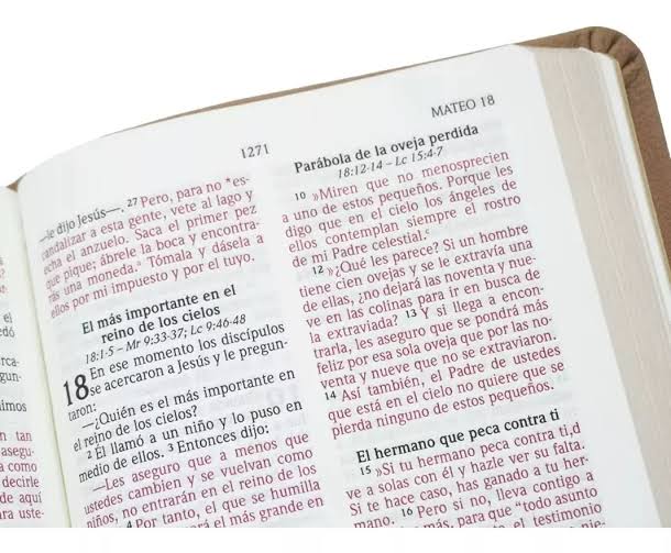 Santa Biblia Letra Grande - NVI