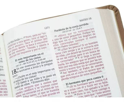Santa Biblia Letra Grande - NVI