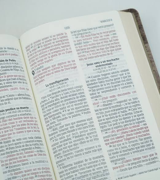 Biblia Letra Grande, Tamaño Manual, Cuero Ecológico De Madera - Nvi