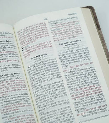 Biblia Letra Grande, Tamaño Manual, Cuero Ecológico De Madera - Nvi