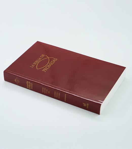 Biblia De Promesas, Tapa Rustica Roja - Rvr 1960