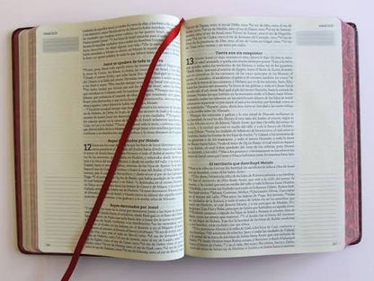 Biblia, Biblia De Apuntes, Tapa Dura, Vino Tinto, Canto Pintado, RVR1960