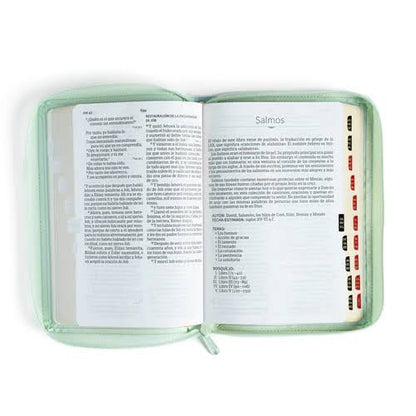 Biblia RVR1960 letra grande tamaño manual, menta