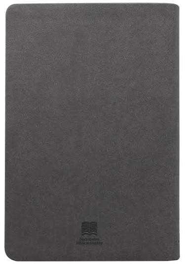 Biblia Letra Grande, Color Gris, Rvc