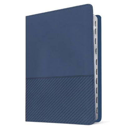 Biblia De Estudio Del Diario Vivir Para Jóvenes, Color Azul, Ntv
