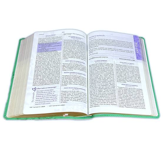 Biblia Una Joven Conforme Al Corazon De Dios Imitación Piel Verde- Rvr 1960 -  Elizabeth George
