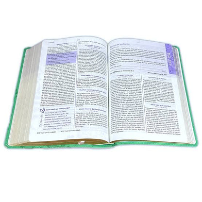 Biblia Una Joven Conforme Al Corazon De Dios Imitación Piel Verde- Rvr 1960 -  Elizabeth George