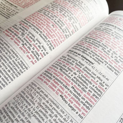 Biblia de Estudio Vida Plena - Ampliada y Actualizada (Imitación piel negro)
