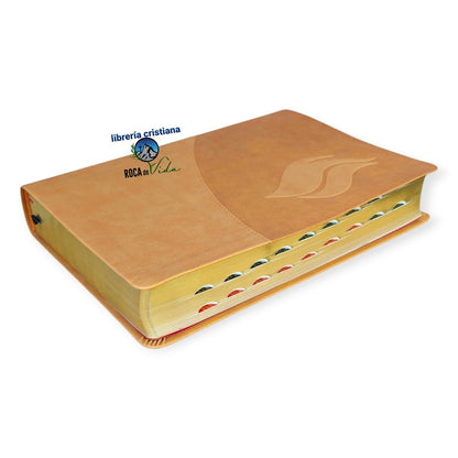 Biblia Vida Plena - Ampliada (Imitación piel marrón), Donald Stamps
