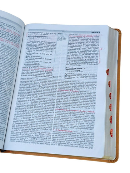 Biblia Vida Plena - Ampliada (Imitación piel marrón), Donald Stamps