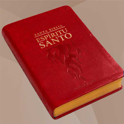 Biblias del Espíritu Santo – económicas. 2025 Vinotinto