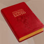 Biblias del Espíritu Santo – económicas. 2025 Vinotinto